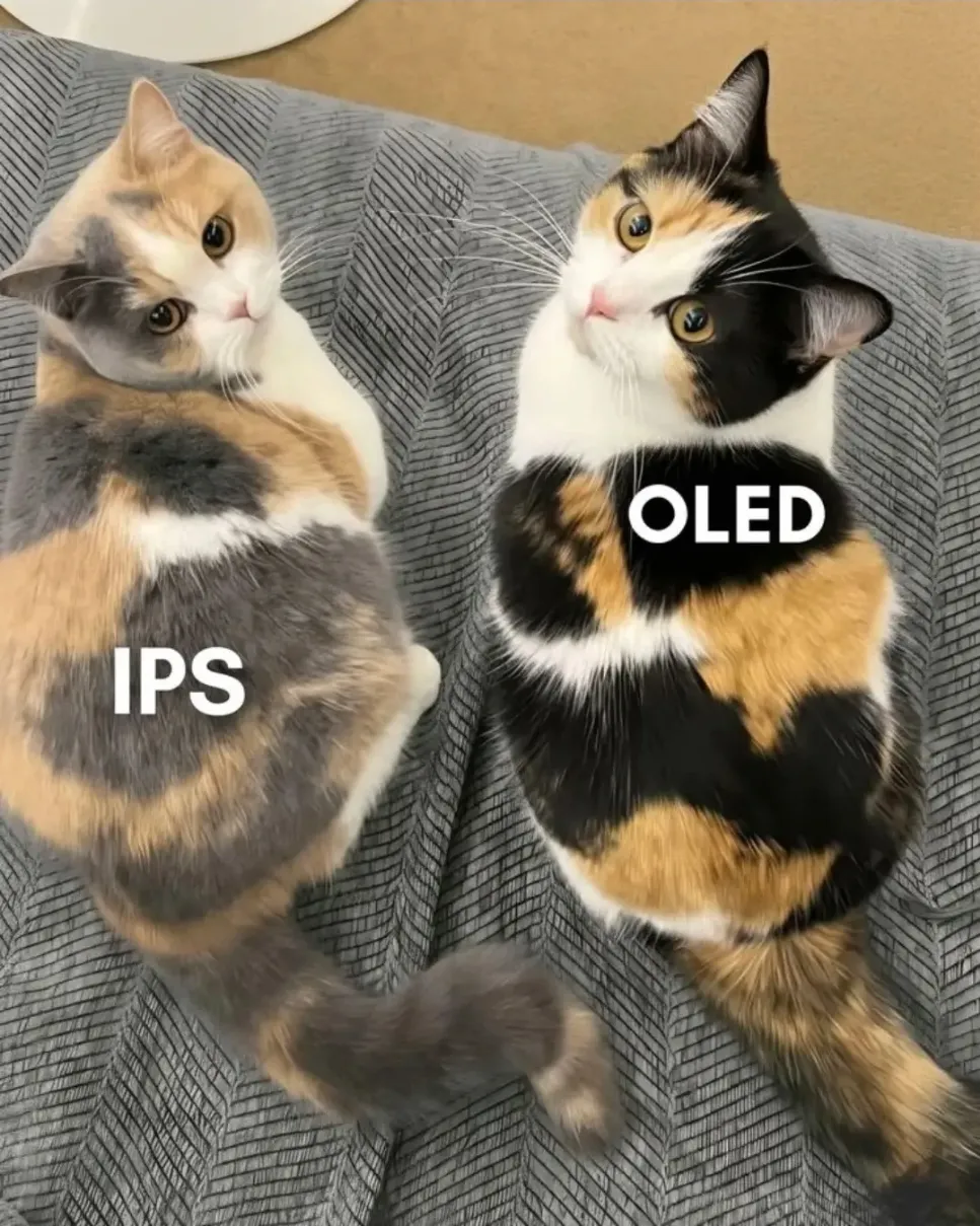 OLED와 IPS 패널의 차이.cat