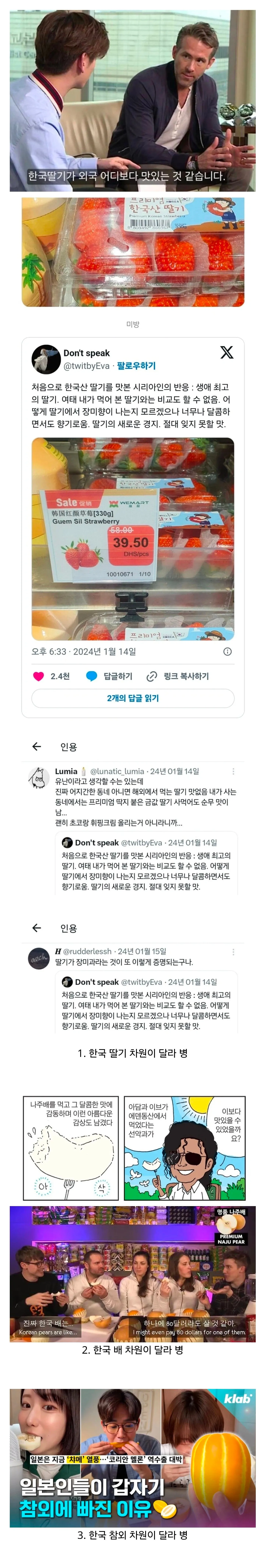 의외로 있다는 한국 과일 차원이 달라 병 ㄷㄷ