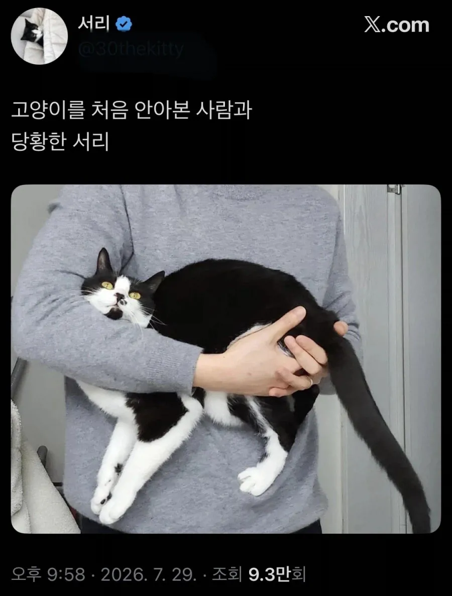 고양이를 처음 안아본 사람