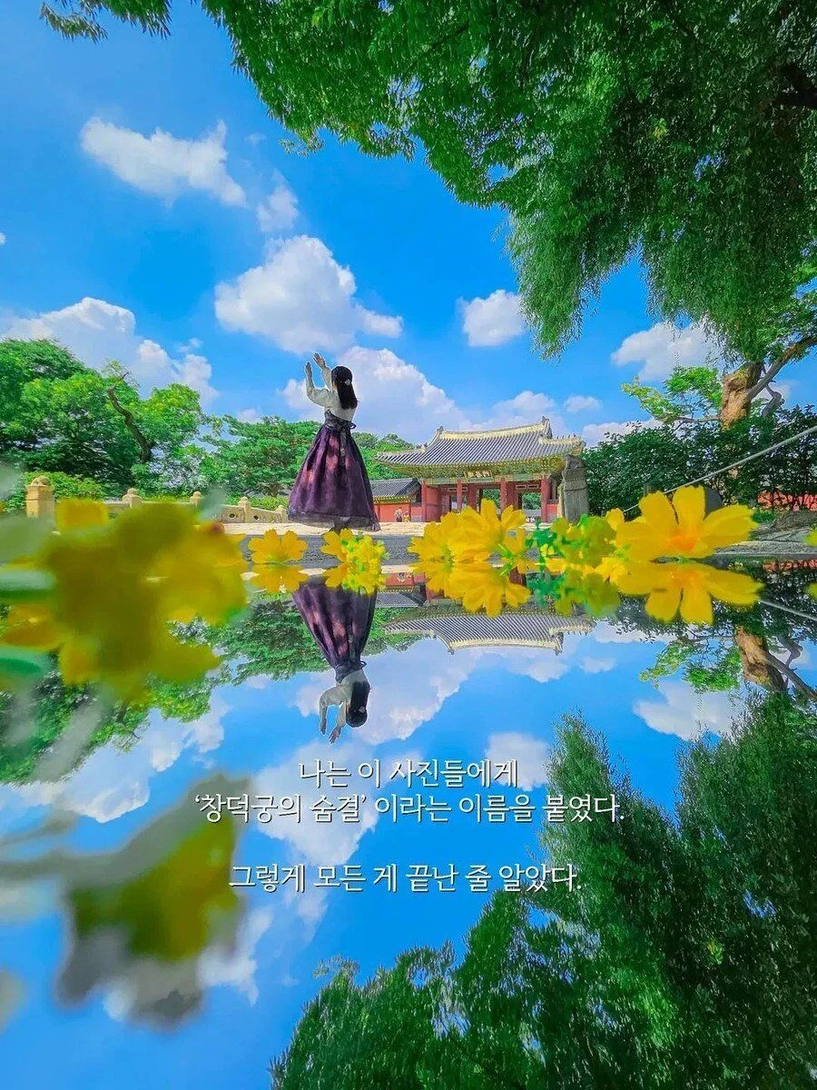 35도 폭염경보에 3시간 동안 창덕궁에서 사진 찍은 남자