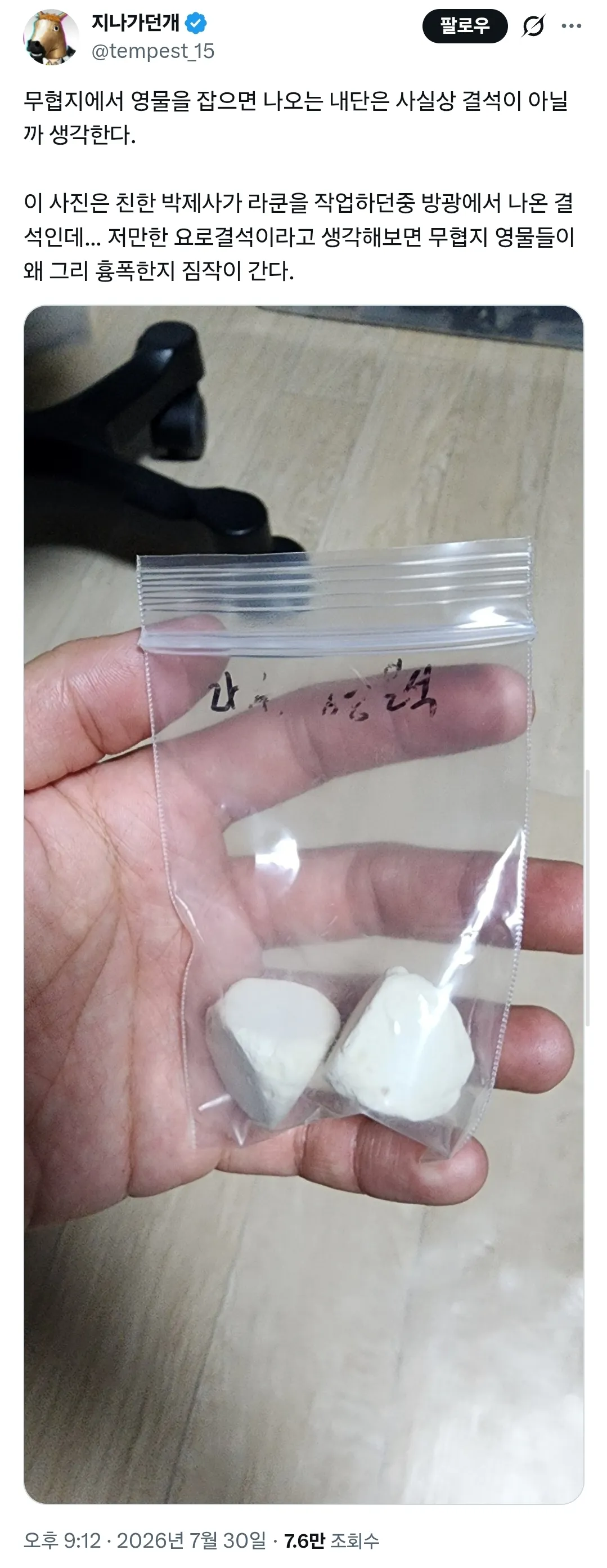 무협지에 나오는 영물의 내단은 사실상