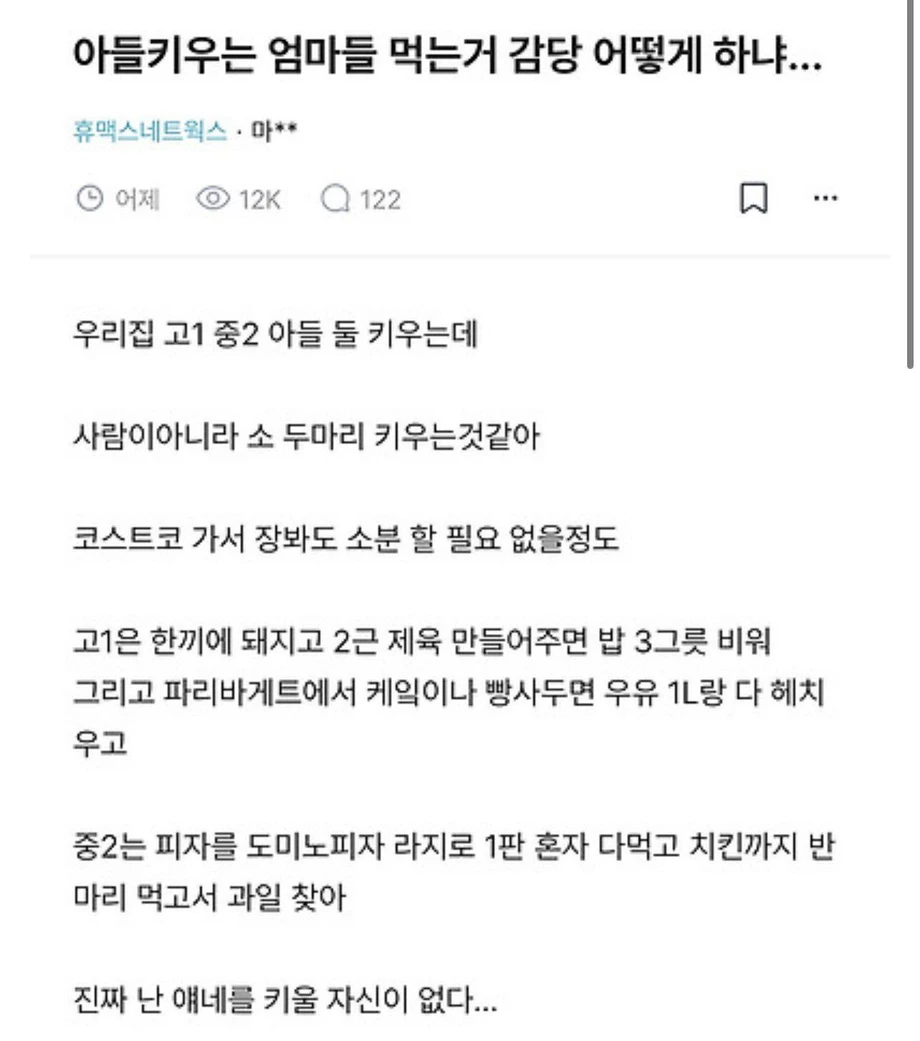 아들키우는 엄마들 먹는거 감당 어떻게 하냐...blind