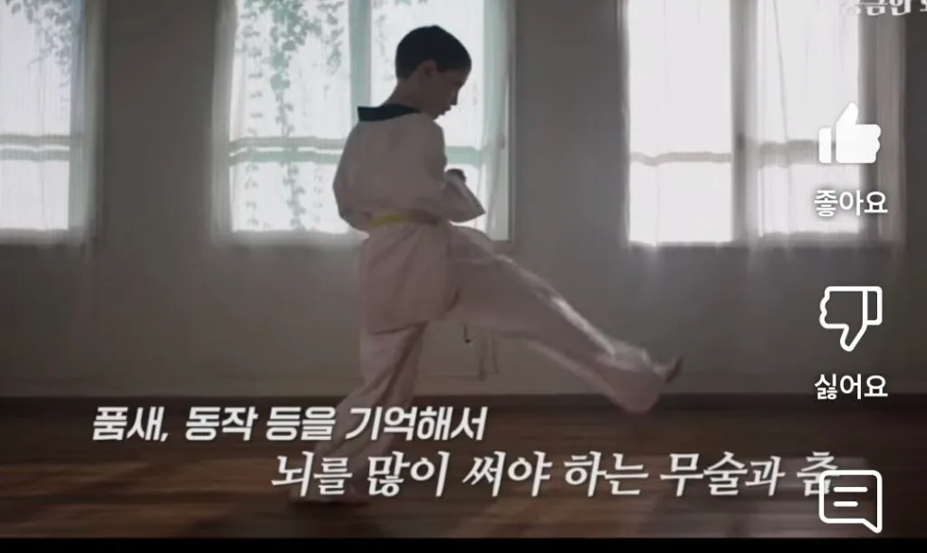 ADHD에 좋은 운동: 태권도, 주짓수, 유도 등