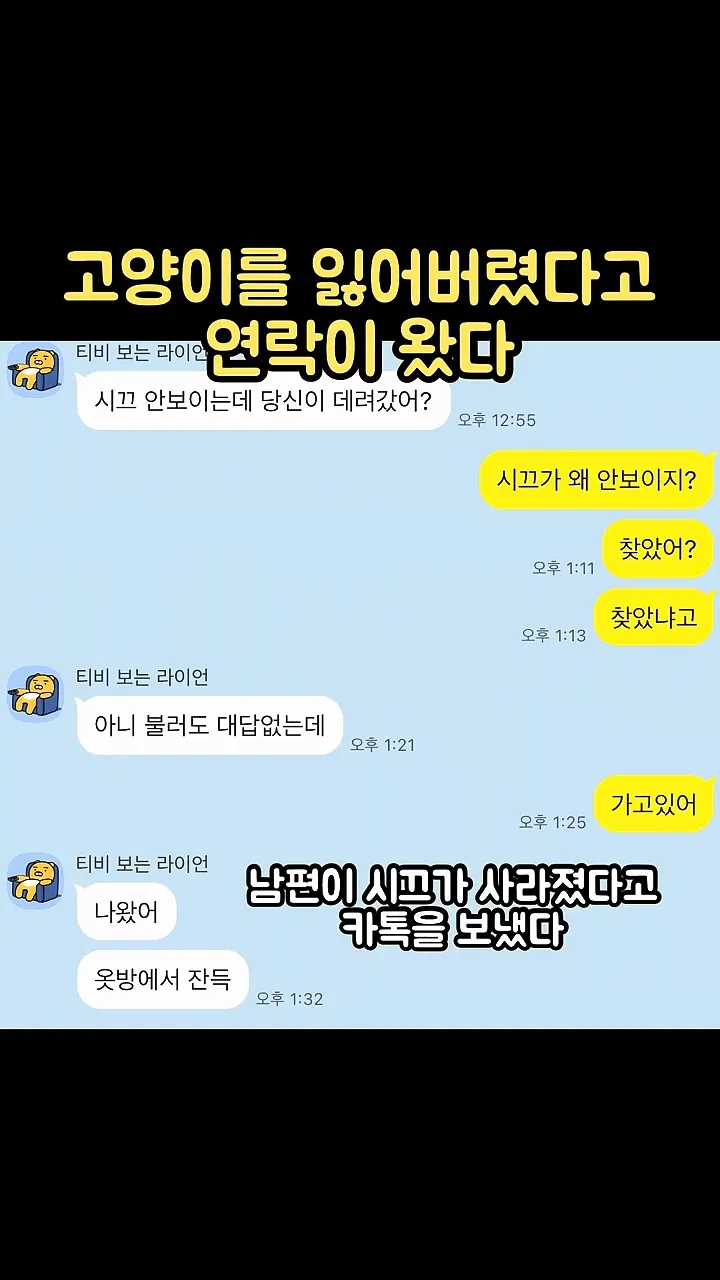 고양이를 잃어버렸다고 연락이 왔다