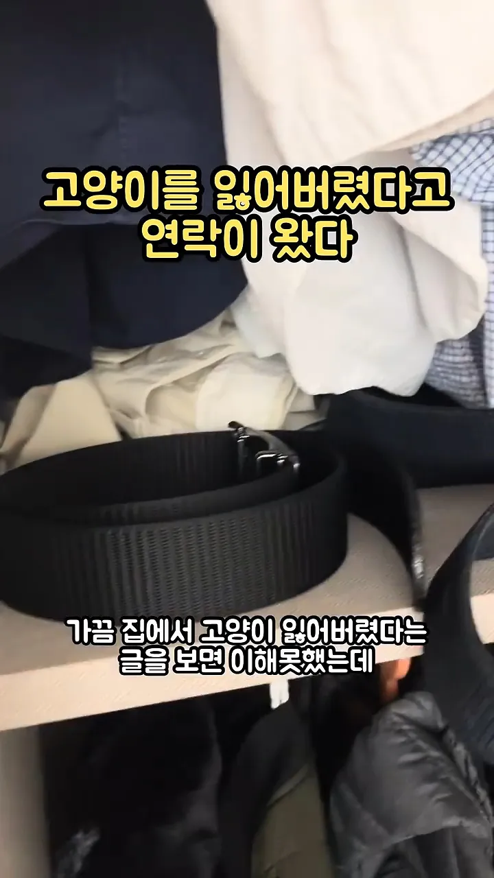 고양이를 잃어버렸다고 연락이 왔다