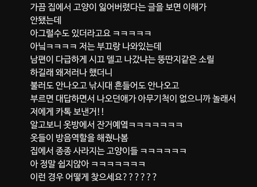 고양이를 잃어버렸다고 연락이 왔다
