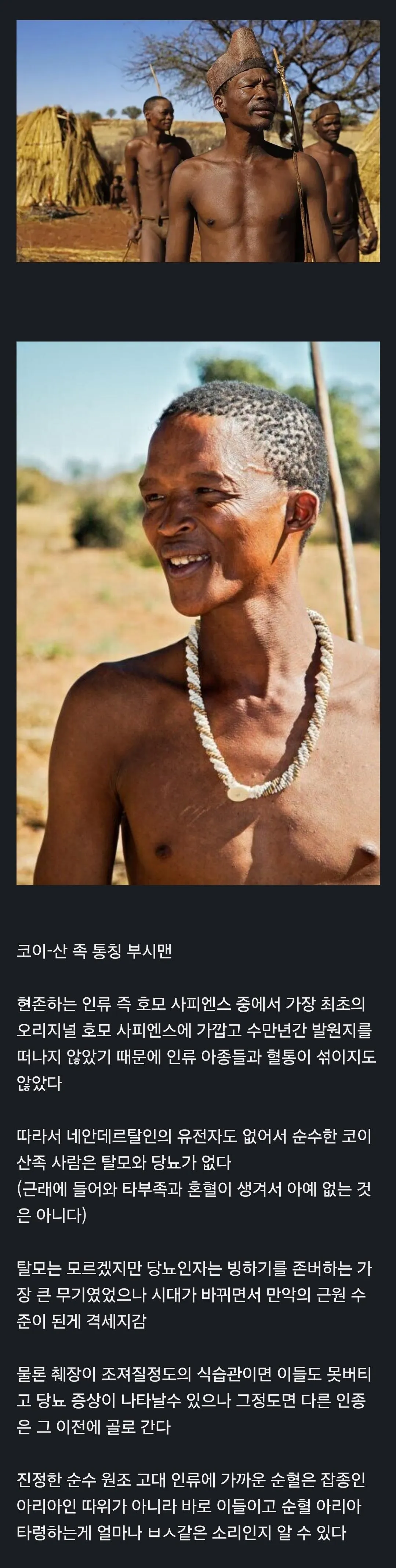 탈모와 당뇨가 없다는 순수혈통 인족