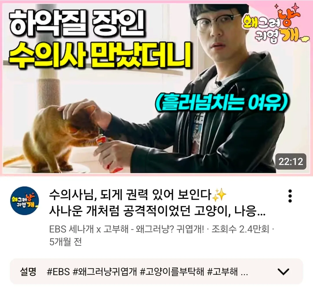 고양이를 부탁해 - 나응식 수의사가 받은 DM