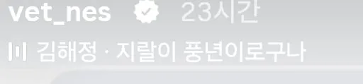 고양이를 부탁해 - 나응식 수의사가 받은 DM