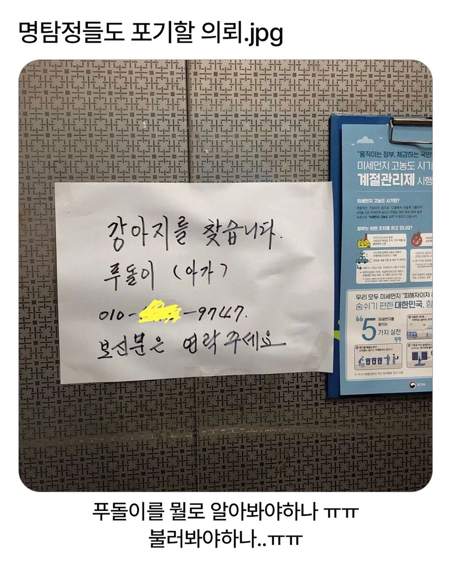 명탐정들도 포기할 의뢰
