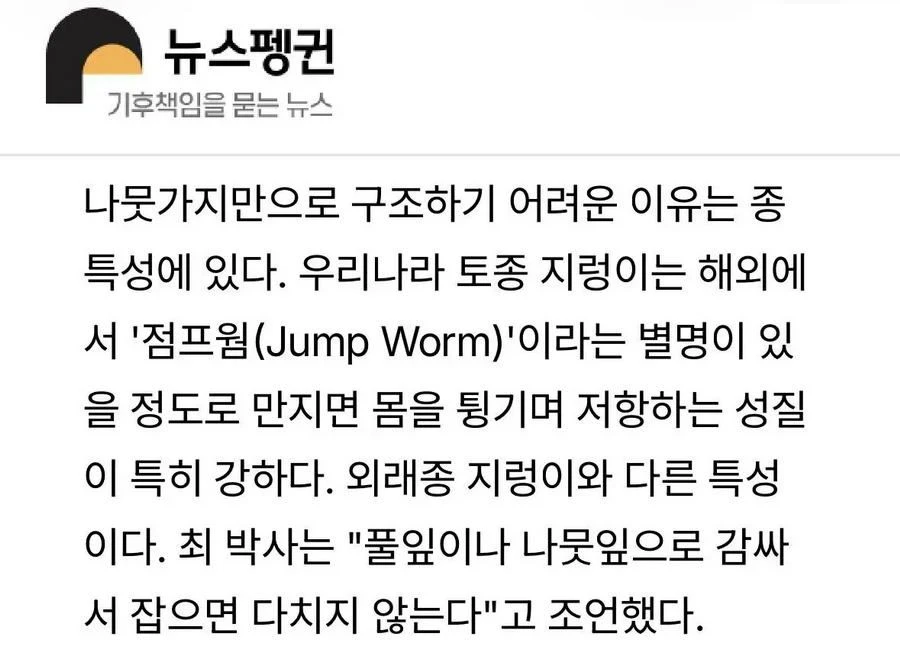 한국 토종 지렁이만의 특징.jpg