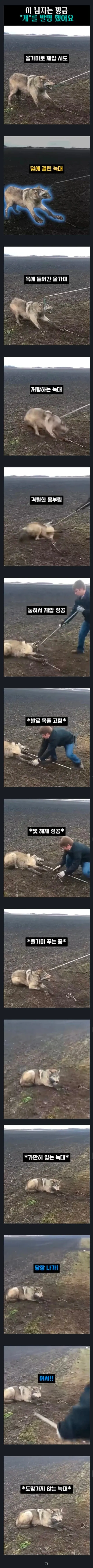 이 남자는 방금 개를 발명했어요