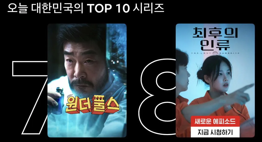 넷플릭스 글로벌 1위 먹기가 힘든 이유.jpg