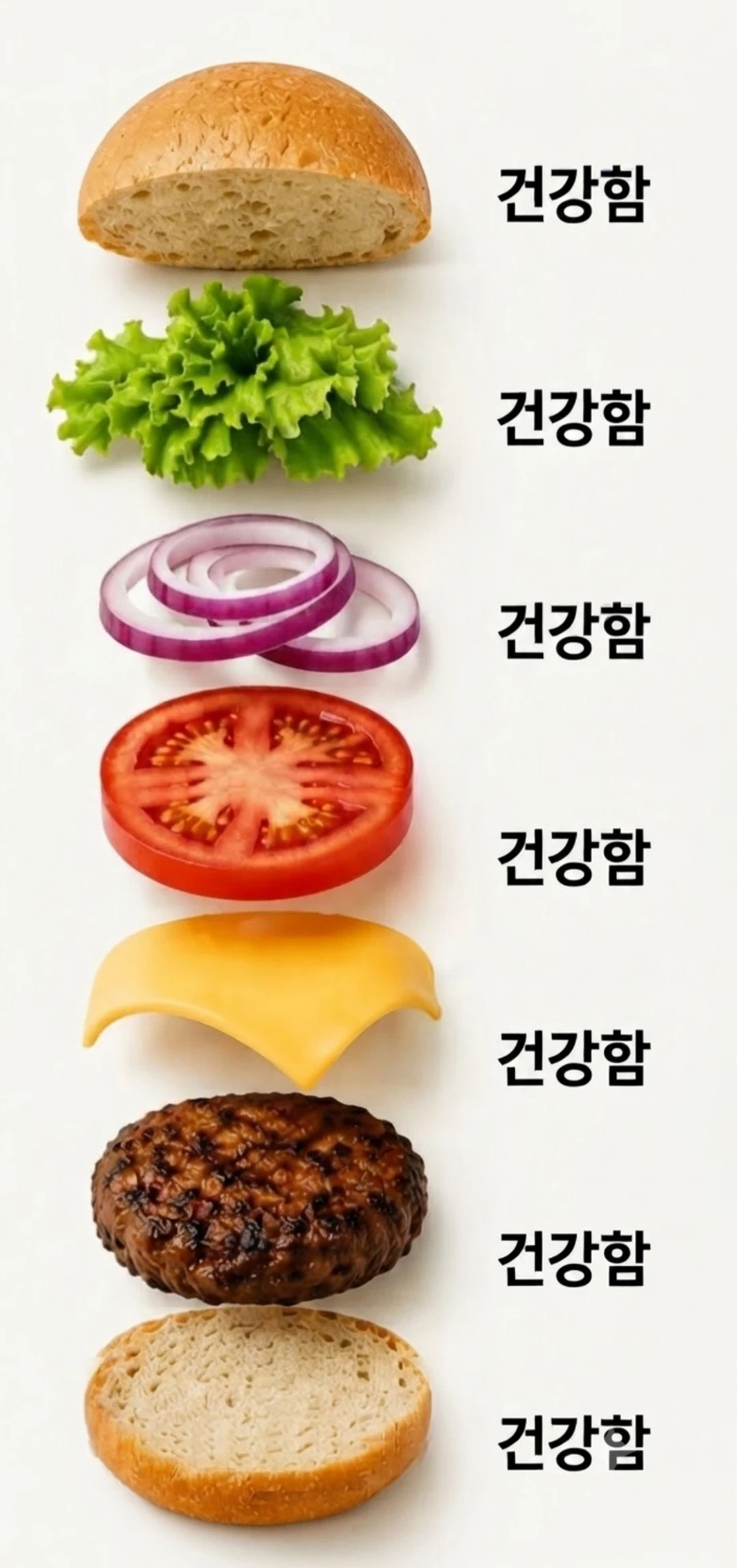 햄버거의 미스테리
