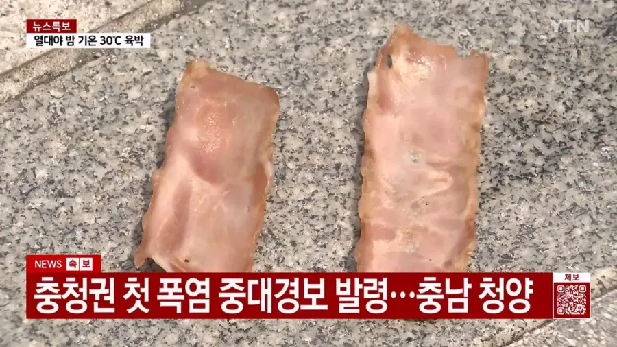 요즘 계란값이 비싸다는 증거.jpg