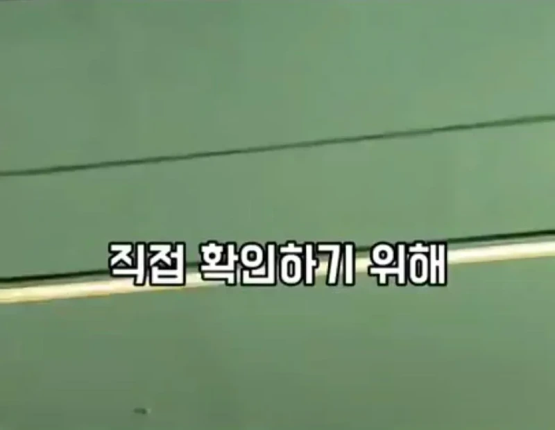 고기와 수박 썰을 확인하러 온 중국 틱톡커