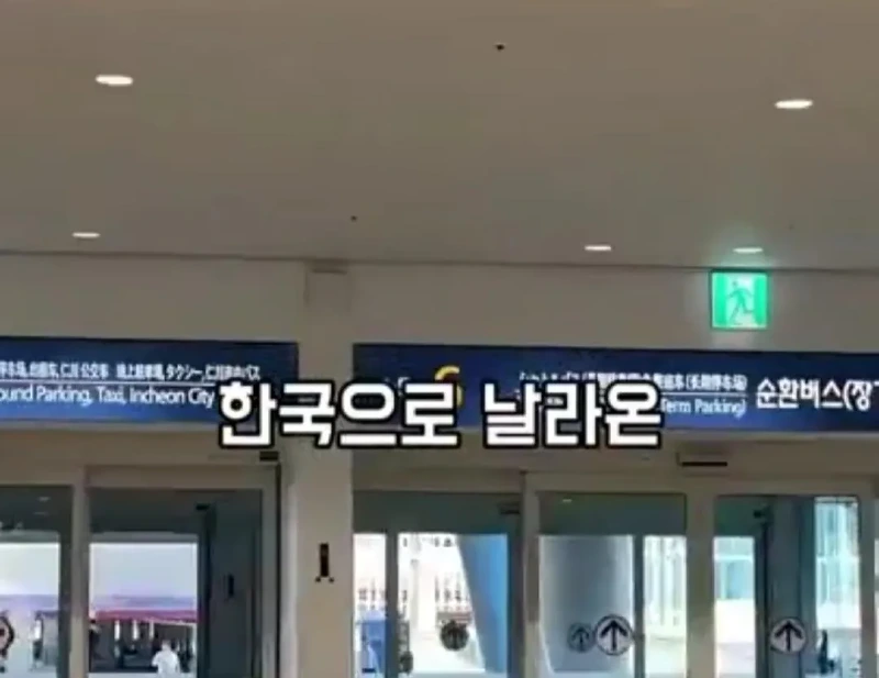 고기와 수박 썰을 확인하러 온 중국 틱톡커