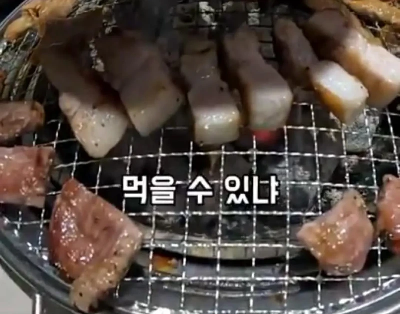 고기와 수박 썰을 확인하러 온 중국 틱톡커