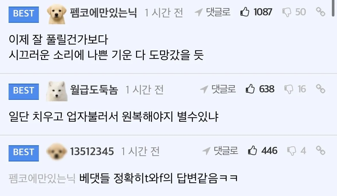 사고에 대한 T와 F의 댓글