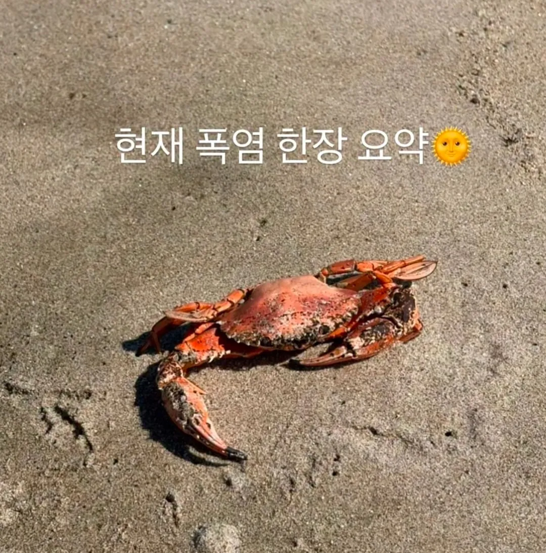 현재 폭염 한장으로 요약