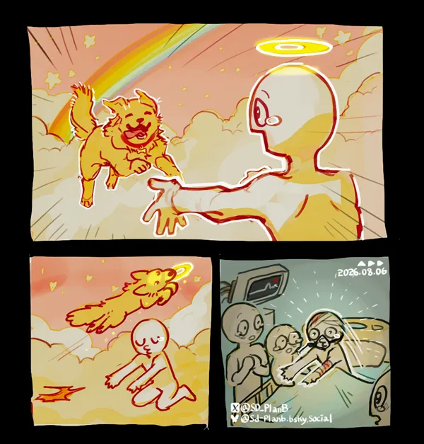 무지개 다리.