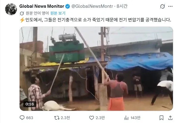 린도린도 인도 근황