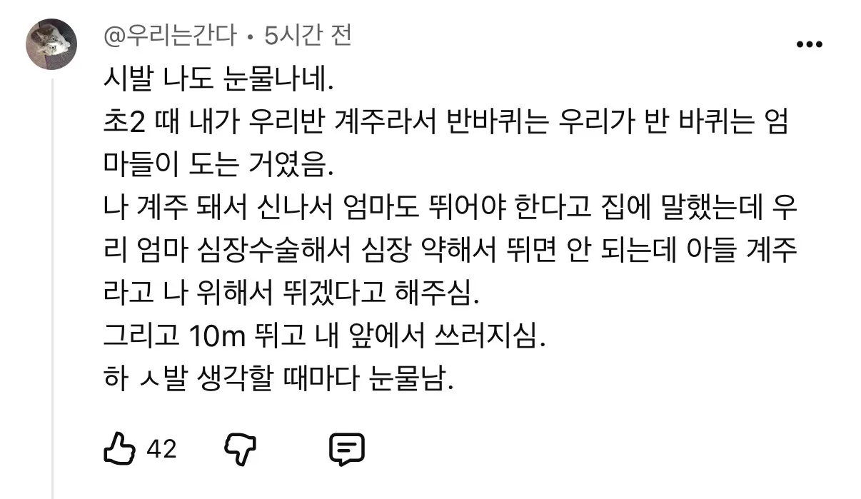 초등학교 운동회에서 엄마가 쓰러진 이유.jpg