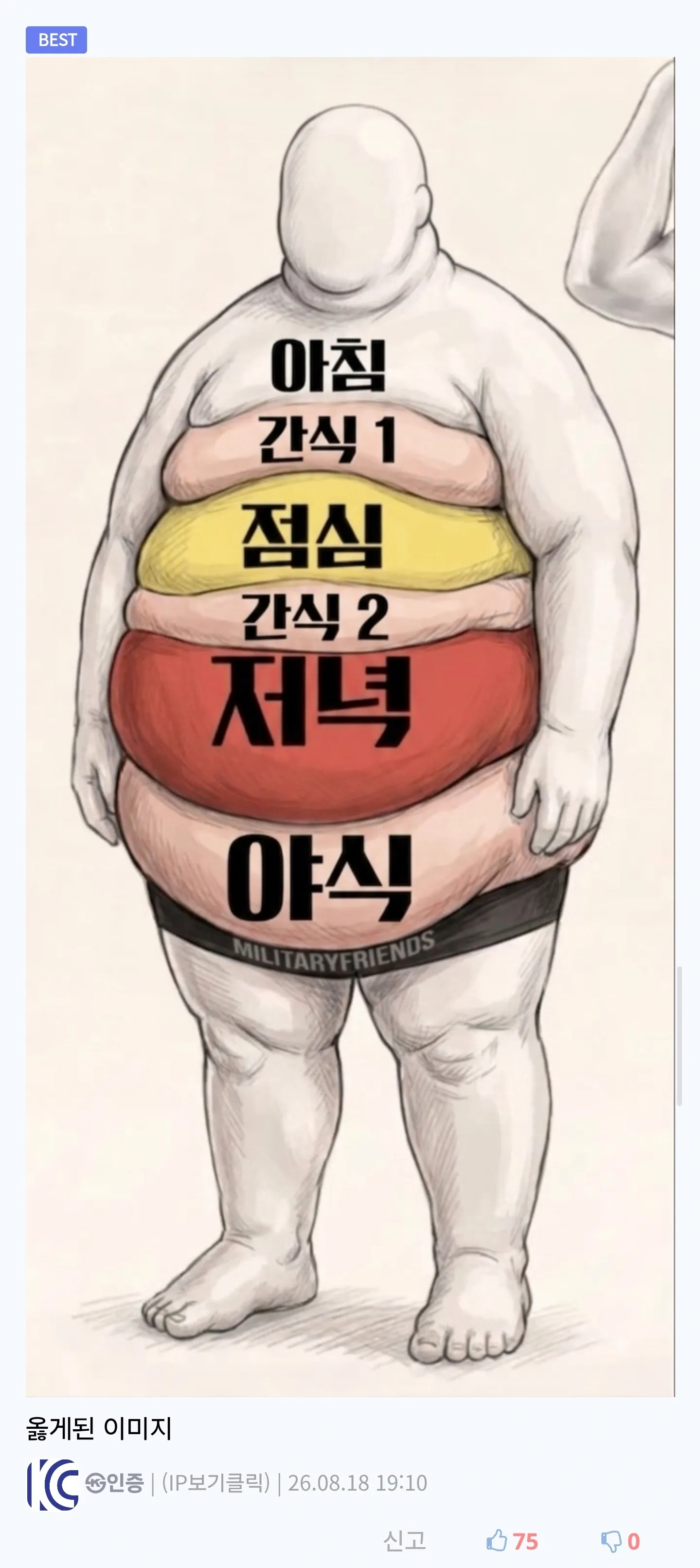 고증오류가 있다는 비만 vs 정상인 짤