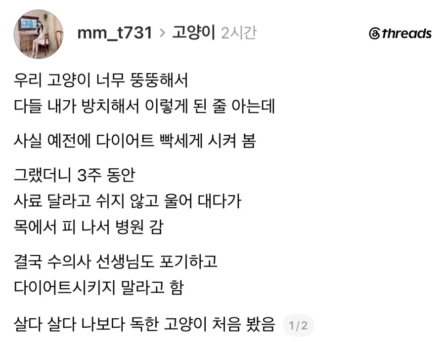 고양이 살찌우는거도 학대라고 생각해서
