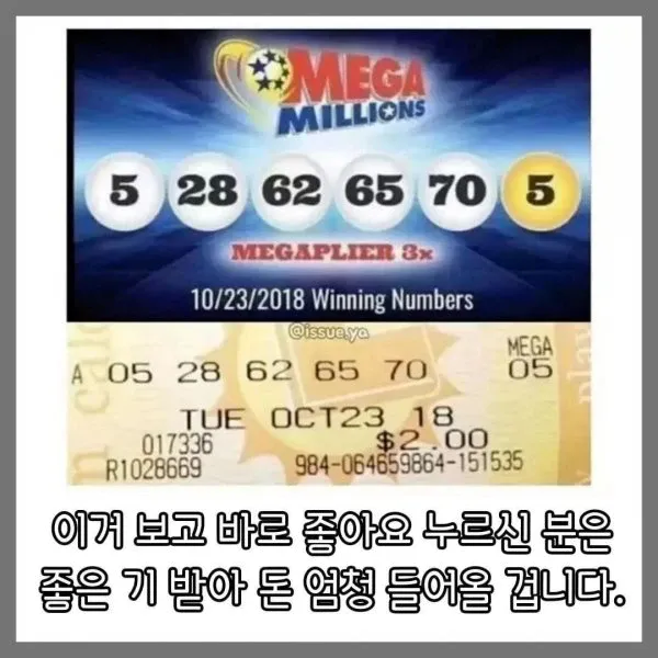 1조 5천억 복권 실물