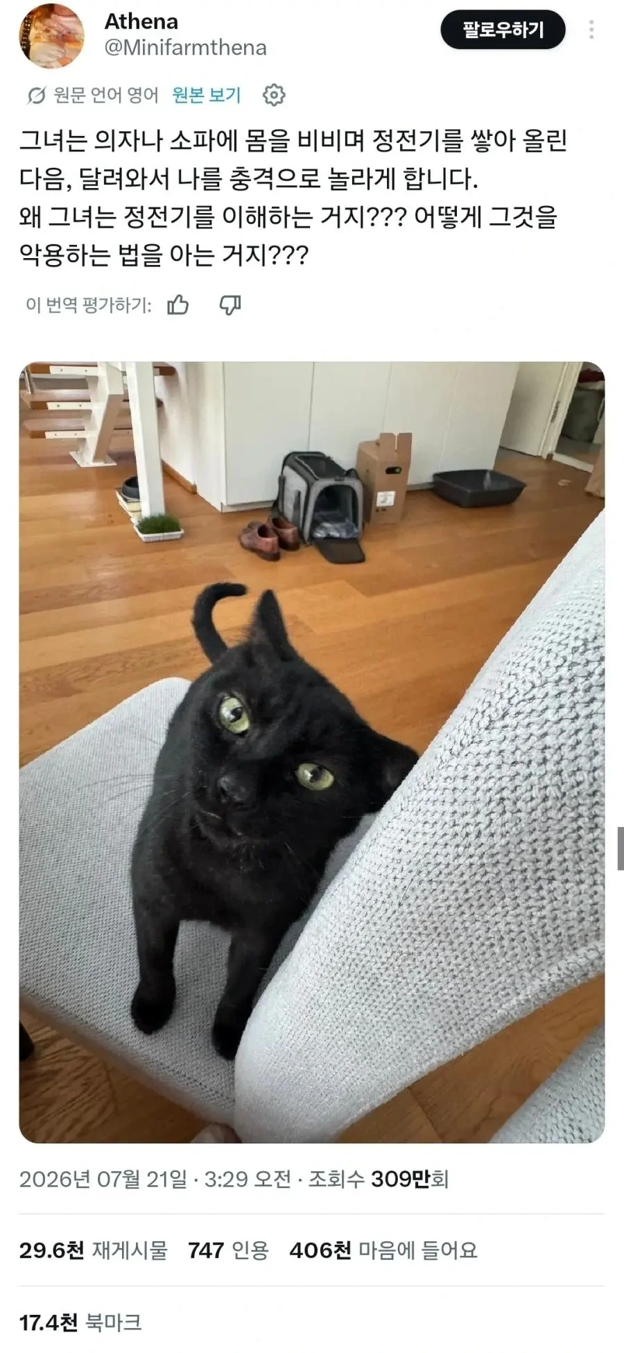 집사에게 전기 공격하는 고양이.jpg