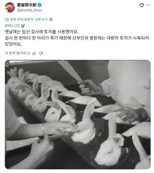 몇십년 전에 썼던 임신 확인 방법.jpg