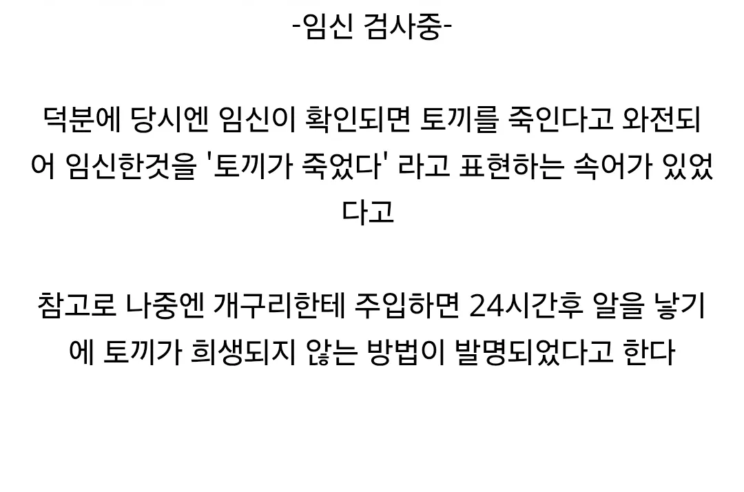 몇십년 전에 썼던 임신 확인 방법.jpg