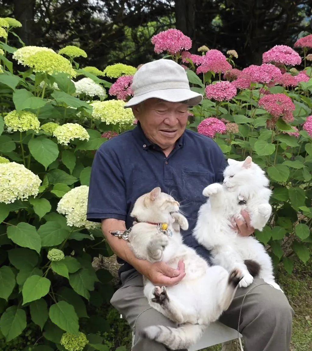 이 할아버지네 고양이들 진짜 개많이 싸움