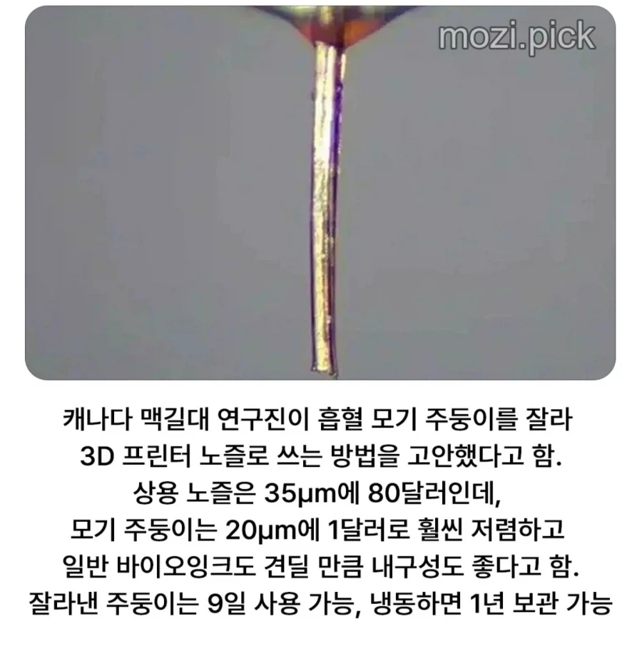 드디어 쓸모가 있어진 그놈 .jpg