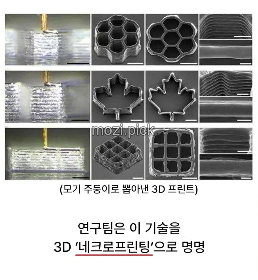 드디어 쓸모가 있어진 그놈 .jpg