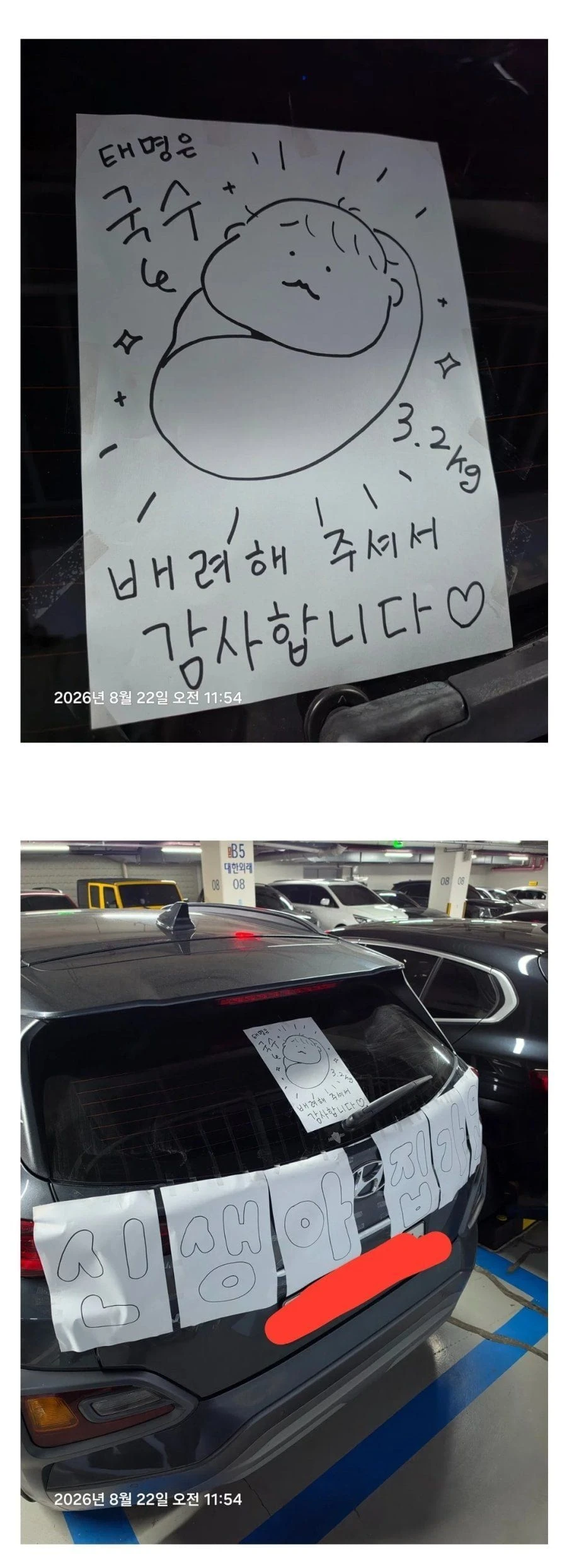 100퍼센트 양보받기 가능한 차 ㄷㄷ