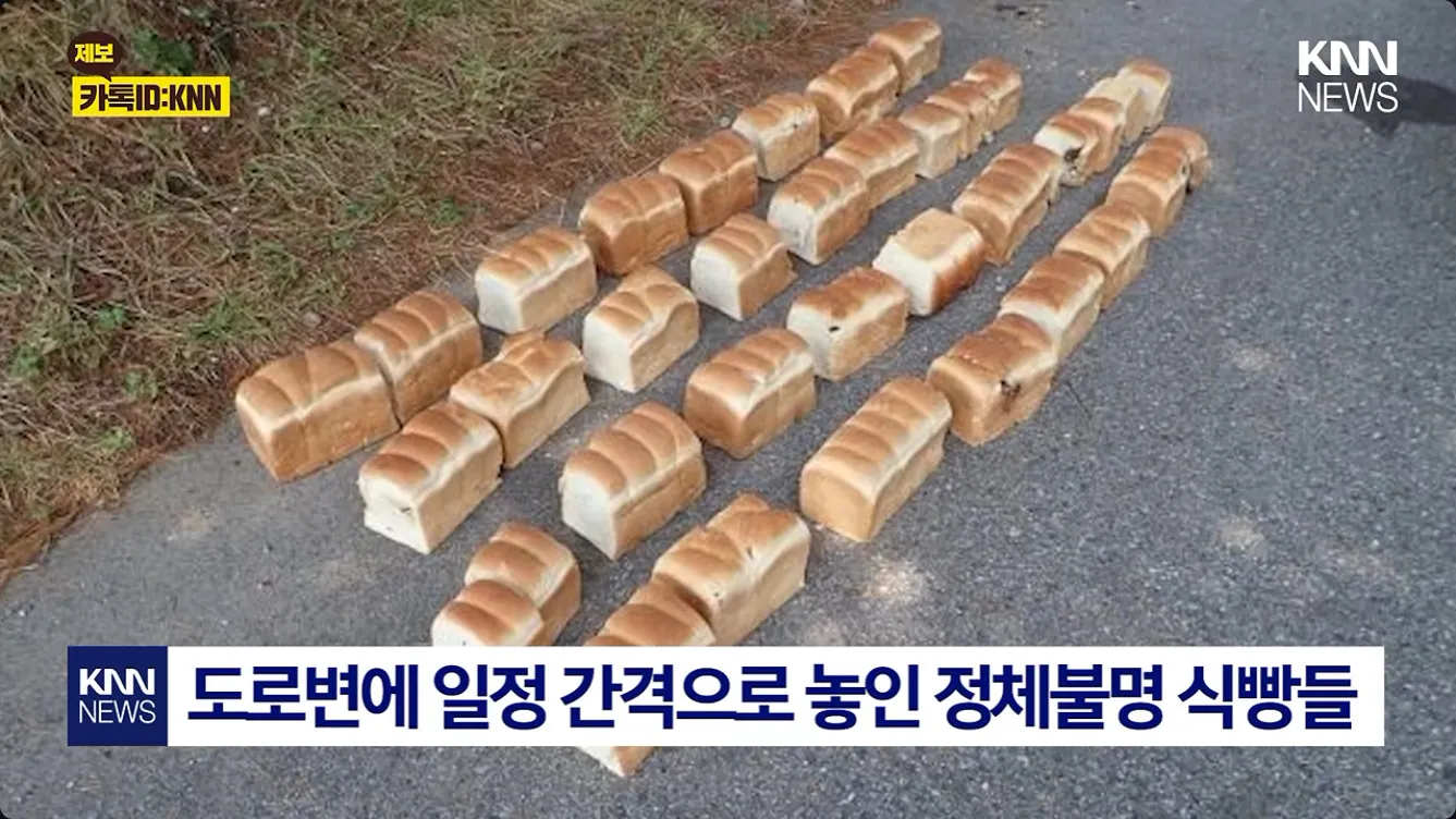 .일본에서 시위하는 법 jpg