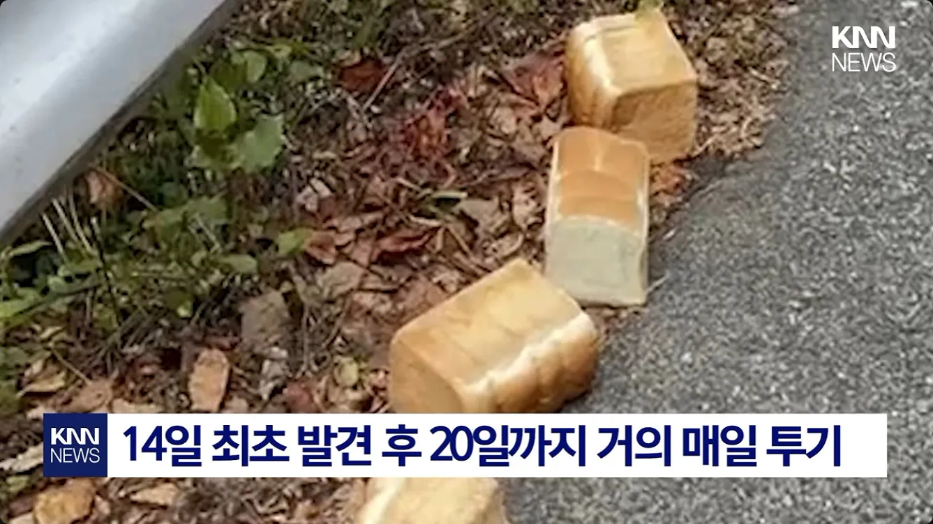 .일본에서 시위하는 법 jpg