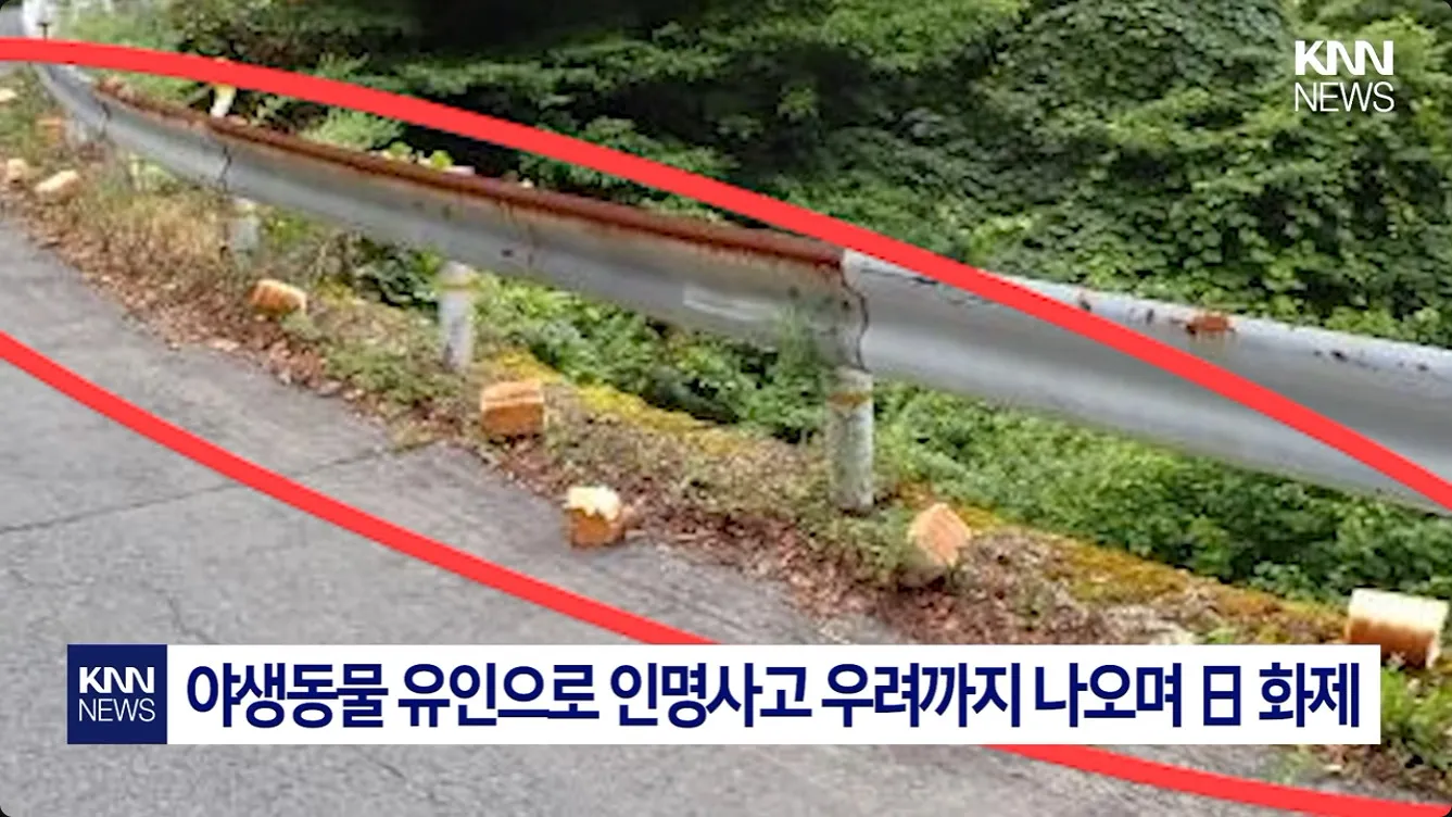 .일본에서 시위하는 법 jpg