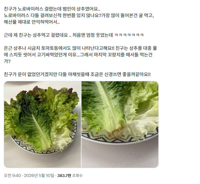 상추 먹다 노로바이러스 걸림.