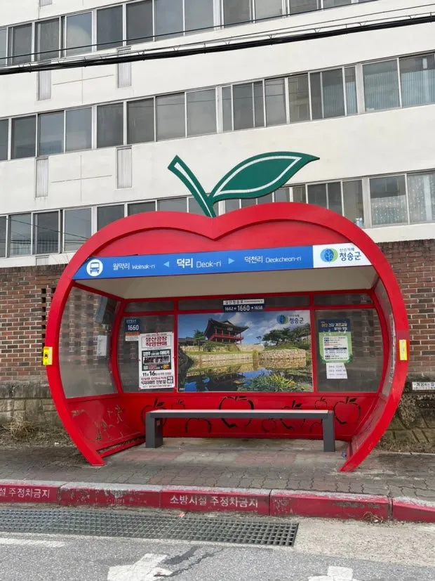 국내에 있다는 과일 모양 버스정류장들.jpg