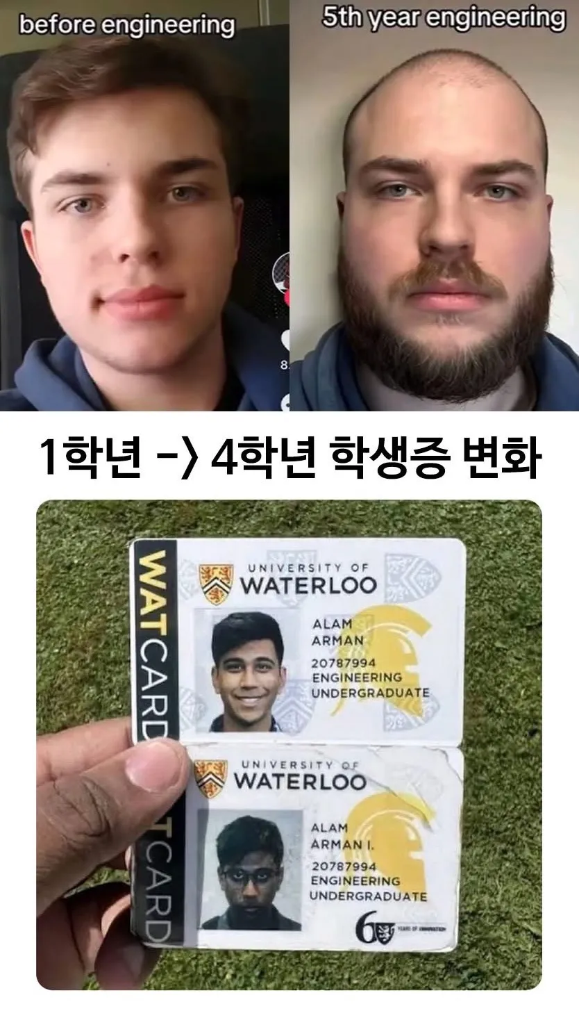워털루 공대 1학년 vs 막학년