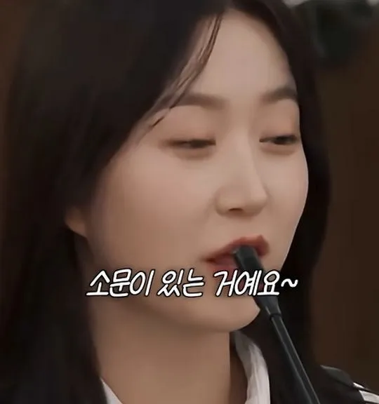 사실 루머공장이라는 나무위키