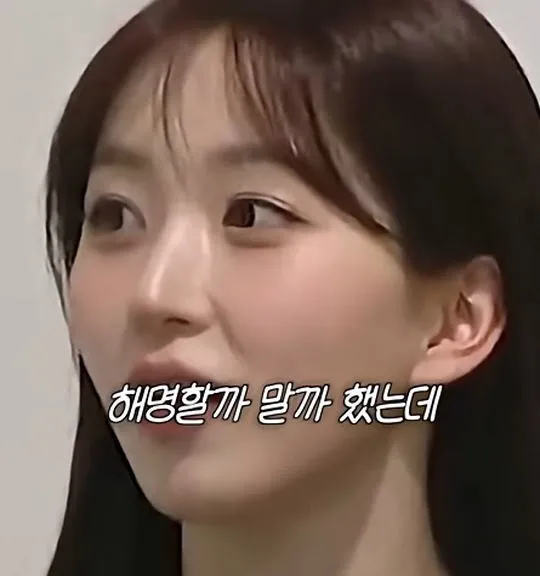 사실 루머공장이라는 나무위키