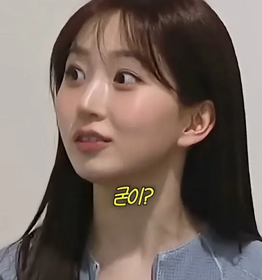 사실 루머공장이라는 나무위키