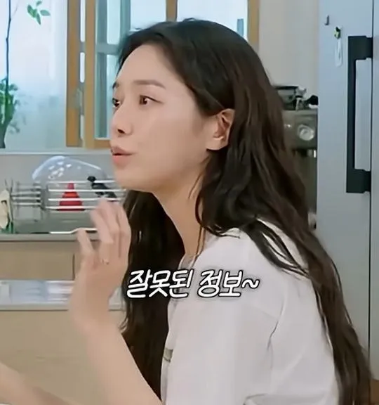 사실 루머공장이라는 나무위키