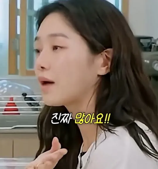 사실 루머공장이라는 나무위키