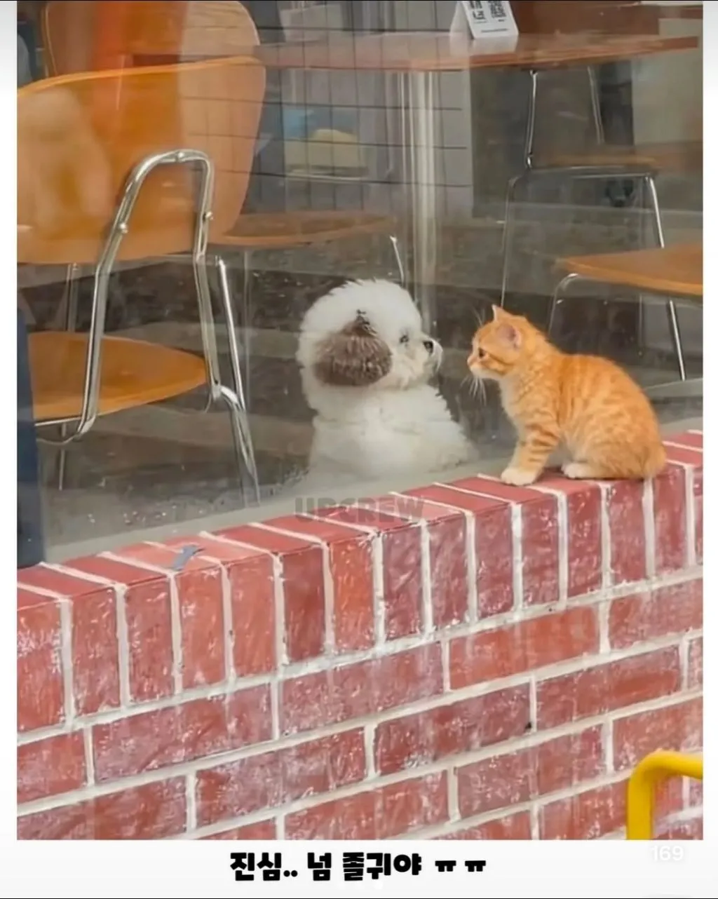 세상 무해한 투샷.jpg