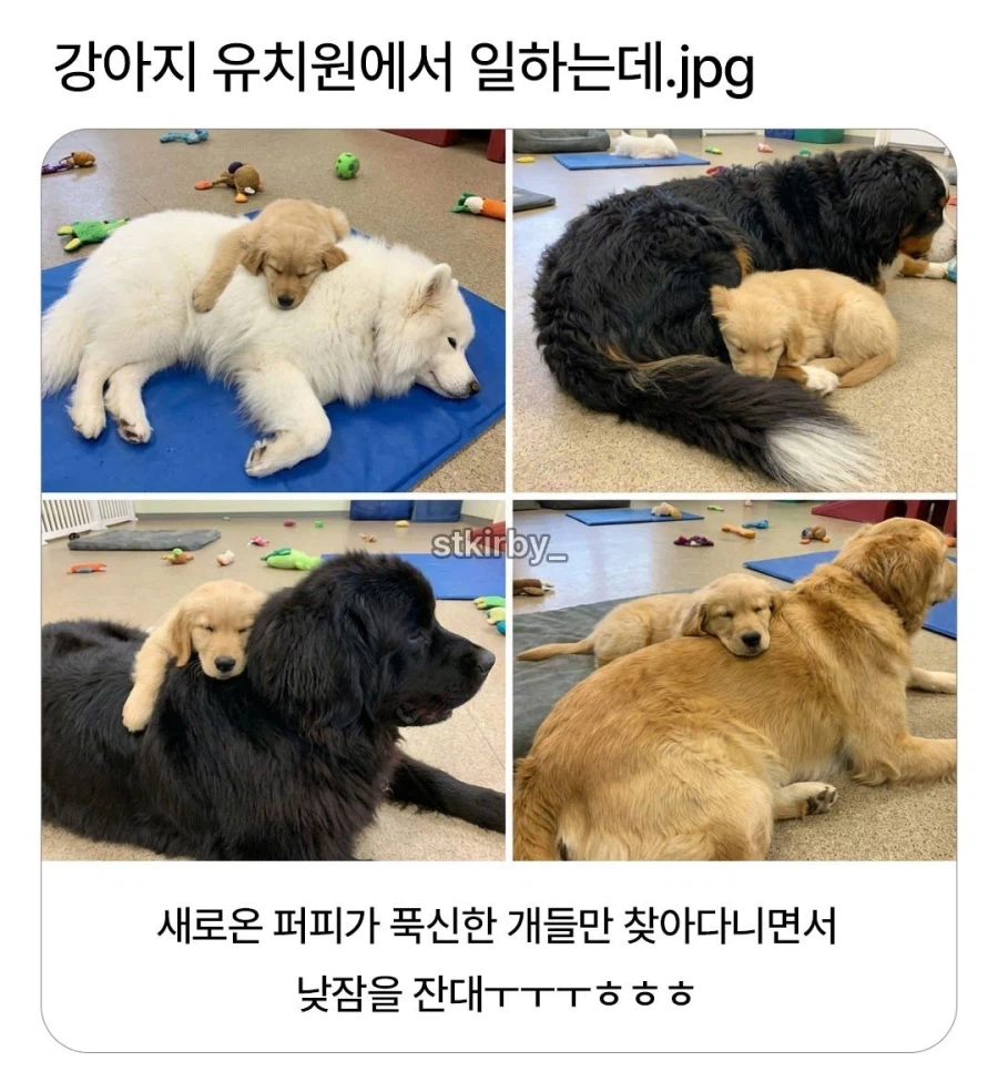 떡잎부터 다른 신입.jpg